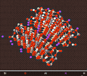 Mucscovotic Illite